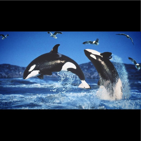 Danie here, - Picture 10 of 16